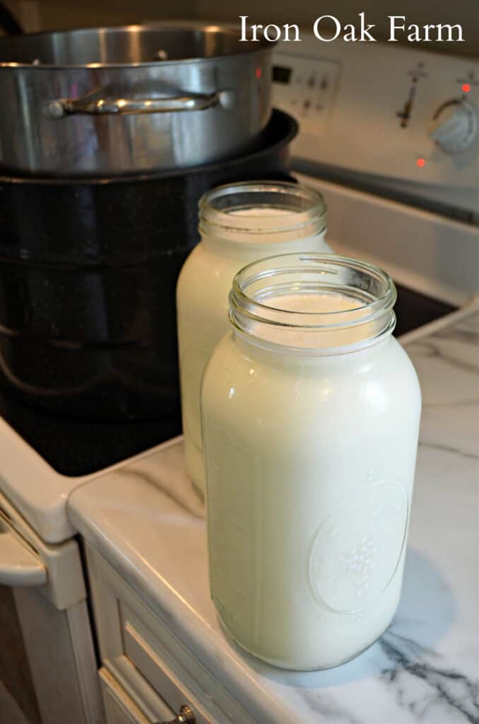 Goat milk in half gallon mason jars
