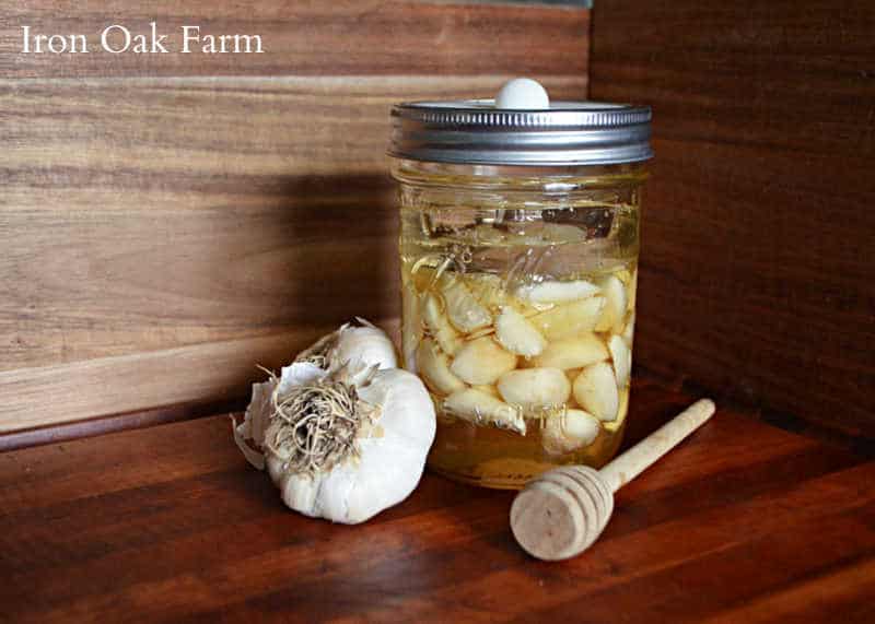 Fermented Garlic and Honey