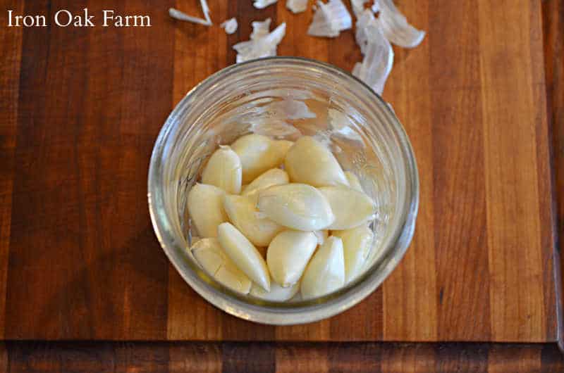 fermented garlic and honey