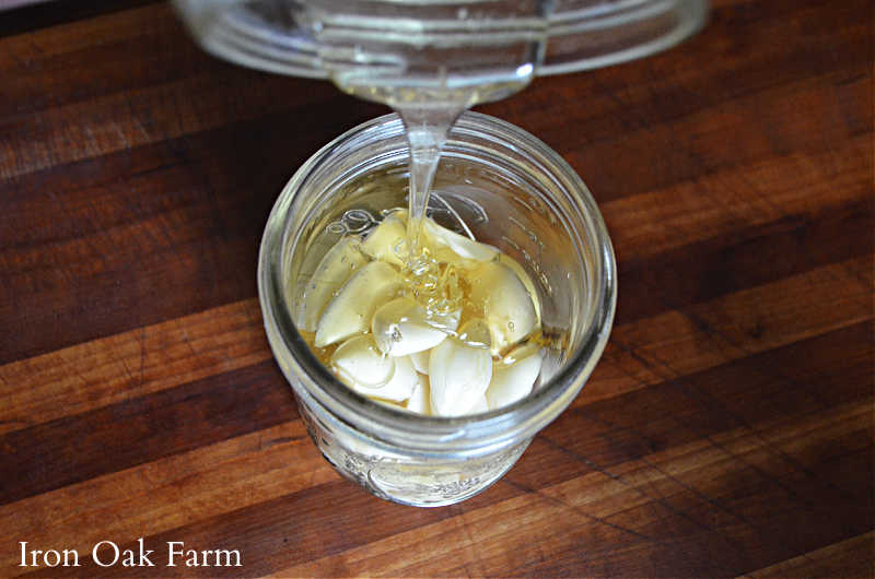 Fermented honey and garlic