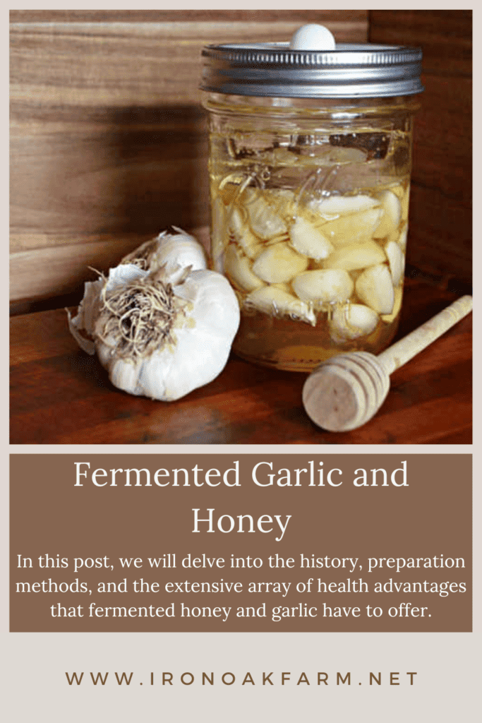 Fermented Honey and Garlic